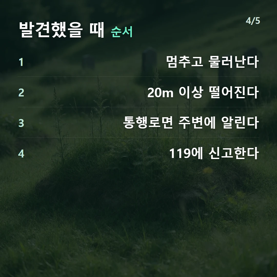 발견했을 때 순서 — 1 멈추고 물러난다, 2 20m 이상 떨어진다, 3 통행로면 주변에 알린다, 4 119에 신고한다
