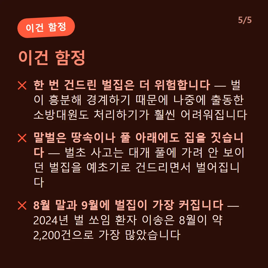 이건 함정 — 한 번 건드린 벌집은 더 위험합니다 — 벌이 흥분해 경계하기 때문에 나중에 출동한 소방대원도 처리하기가 훨씬 어려워집니다 / 말벌은 땅속이나 풀 아래에도 집을 짓습니다 — 벌초 사고는 대개 풀에 가려 안 보이던 벌집을 예초기로 건드리면서 벌어집니다 / 8월 말과 9월에 벌집이 가장 커집니다 — 2024년 벌 쏘임 환자 이송은 8월이 약 2,200건으로 가장 많았습니다