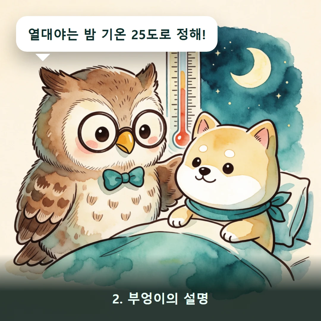 웹툰 2컷 — 2. 부엉이의 설명 (열대야는 밤 기온 25도로 정해!)