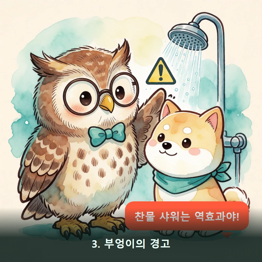 웹툰 3컷 — 3. 부엉이의 경고 (찬물 샤워는 역효과야!)