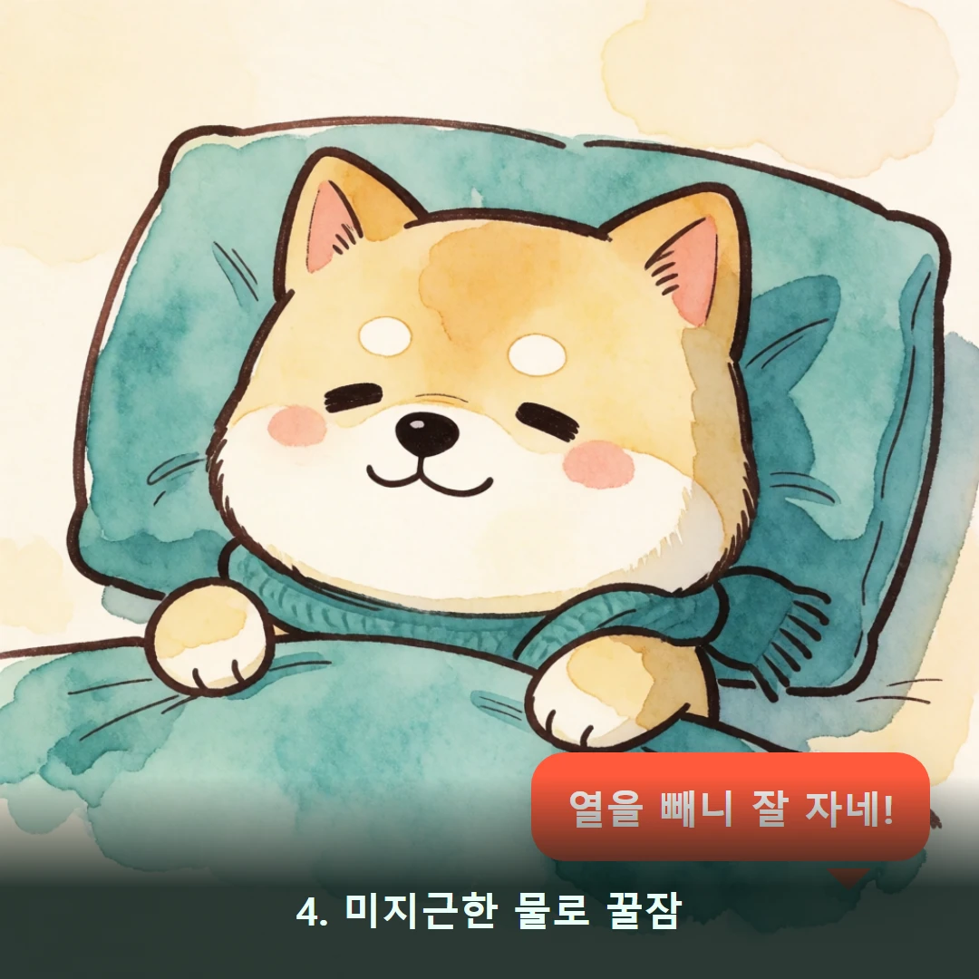 웹툰 4컷 — 4. 미지근한 물로 꿀잠 (열을 빼니 잘 자네!)