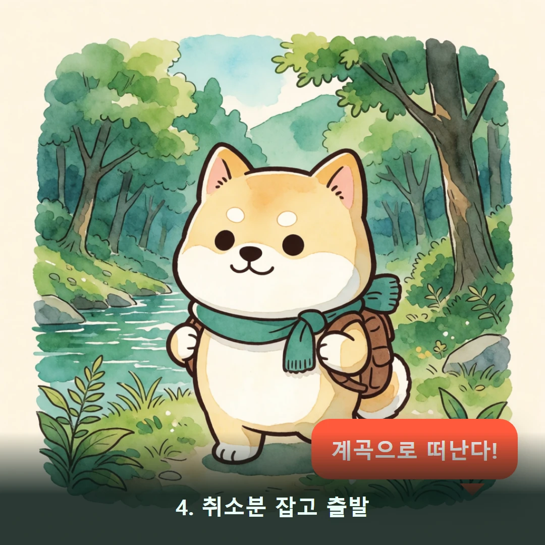 웹툰 4컷 — 4. 취소분 잡고 출발 (계곡으로 떠난다!)
