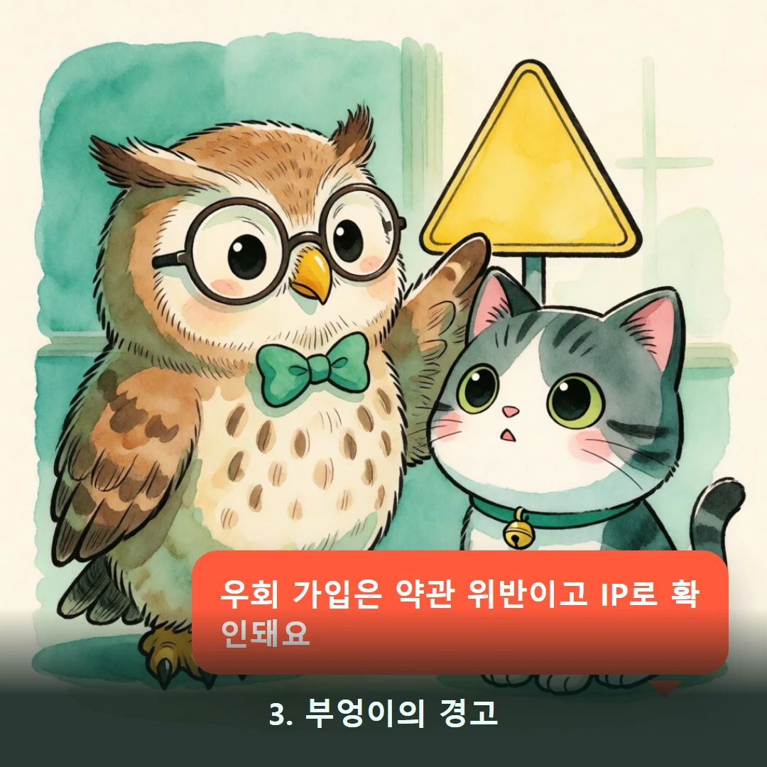 웹툰 3컷 — 3. 부엉이의 경고 (우회 가입은 약관 위반이고 IP로 확인돼요)